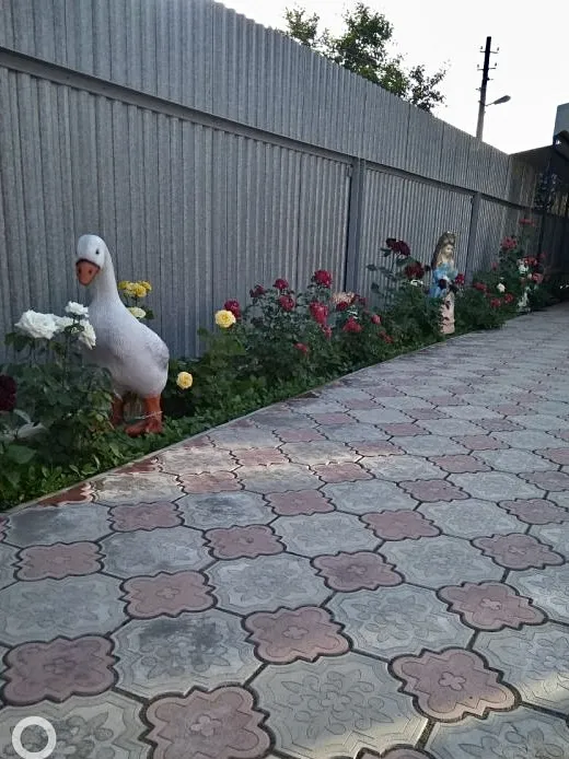 "Набережная 67А" в Урзуфе — фото 16