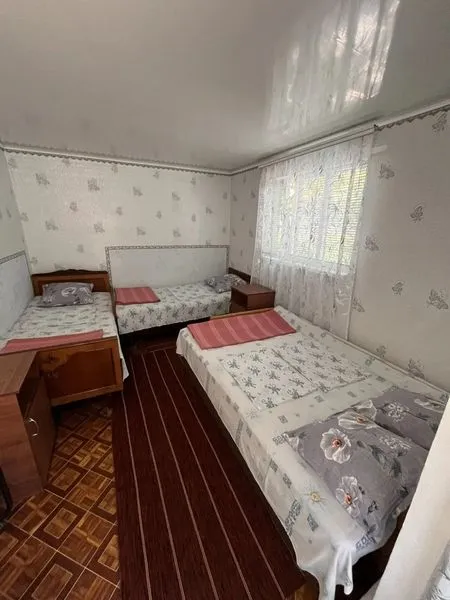 Частный двор "Виноградный" в Урзуфе — фото 17