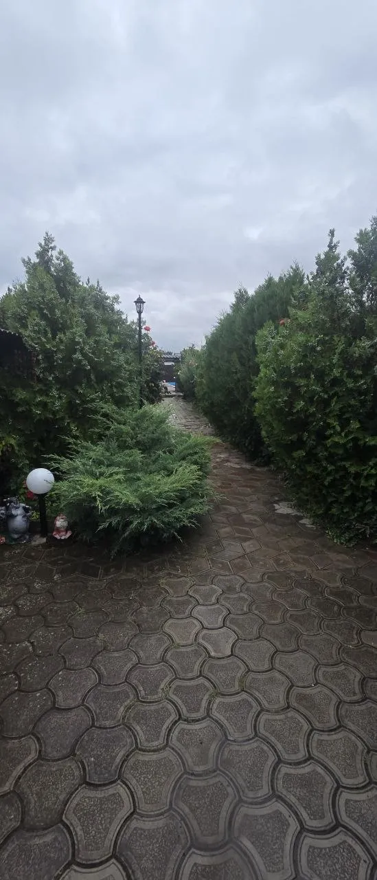 Гостевой дом "Зевс" в Урзуфе — фото 13